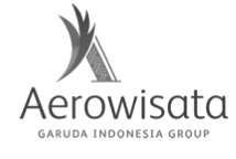 Aerowisata